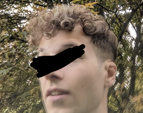 Bild zum Beitrag