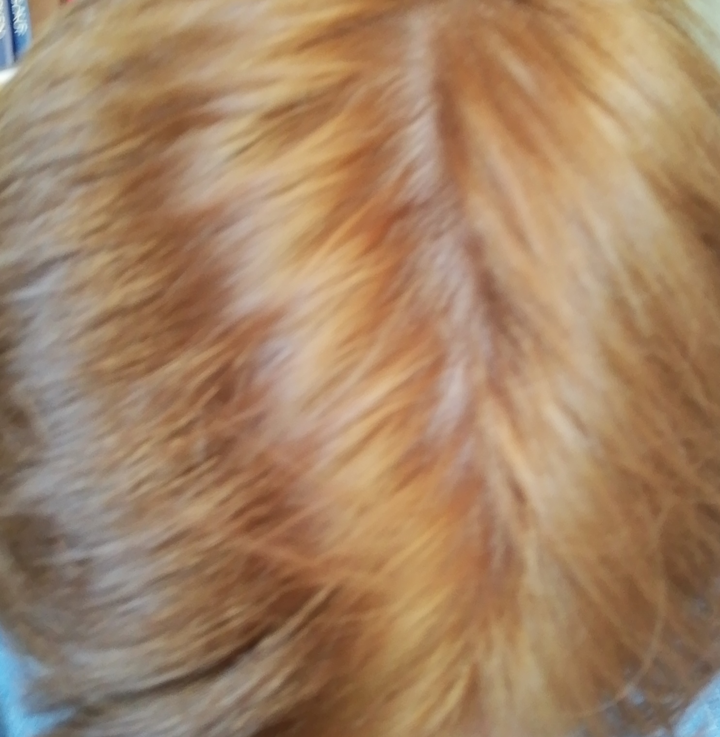 haare sind orange und ungleichmassig