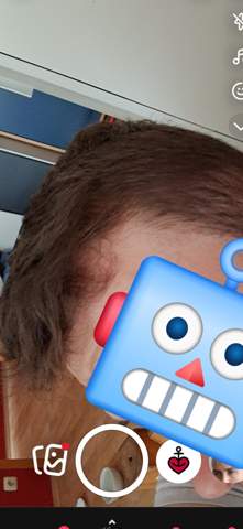 Bild zum Beitrag