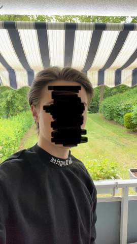 Bild zum Beitrag