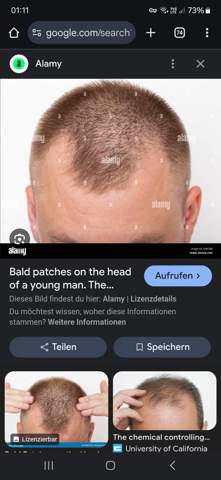 Bild zum Beitrag