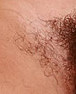 Haare - (Penis, Unterhose, Schamhaare)