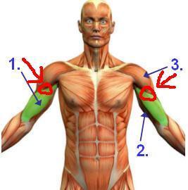 Hab Ich Ein Muskelriss Arzt Schmerzen Muskeln Hab Ich Ein Muskelriss Arzt Schmerzen Muskeln