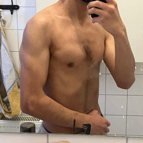 Bild zum Beitrag