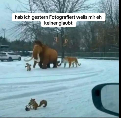 Bild zum Beitrag