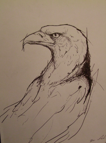 eagle study  - (Studium, Kunst, zeichnen)