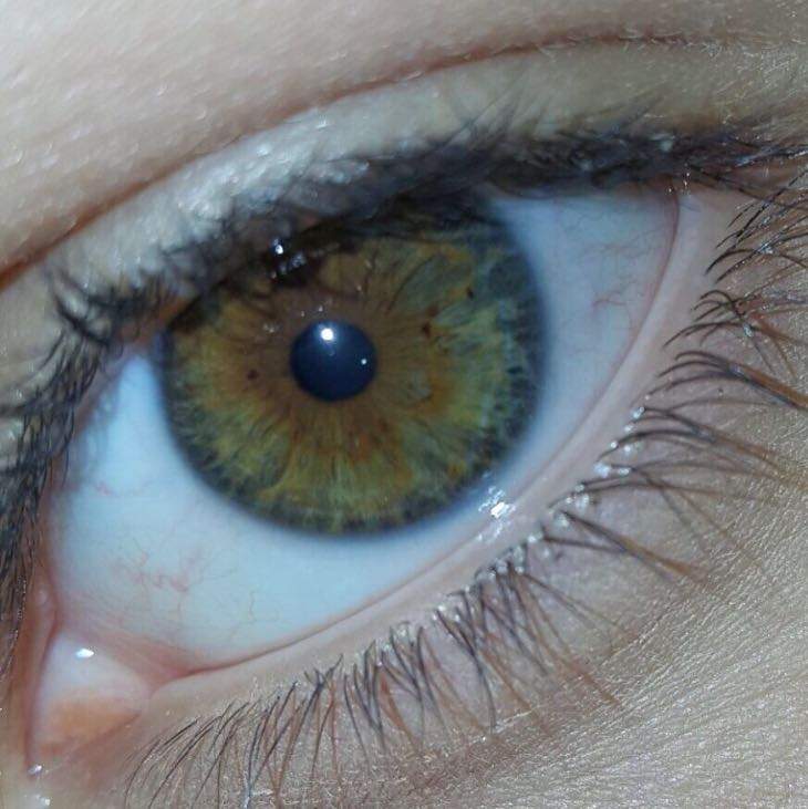 Habe ich eher braune oder grüne Augen? (braun, grün)