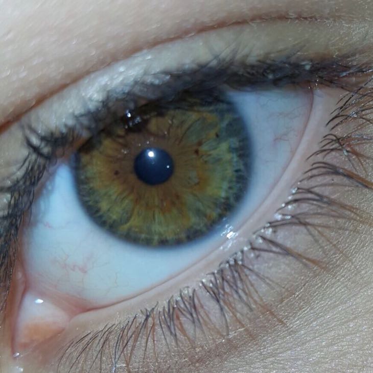 Grün Braune Augen Selten