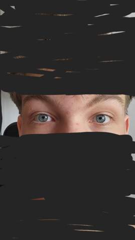 Bild zum Beitrag