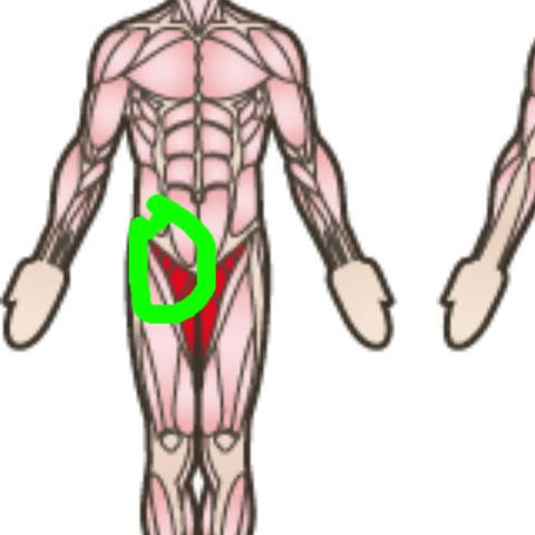 Im grün umkreisten Bereich sind die Schmerzen - (Sport, Medizin, Muskeln)