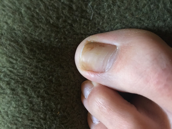 Download Freund definicio For Android Freund Definicio