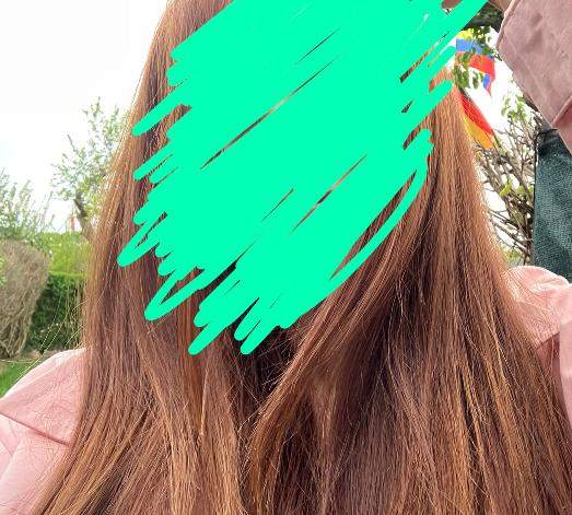 Habe ich orangene Haare oder braune und wie findet ihr  es ?