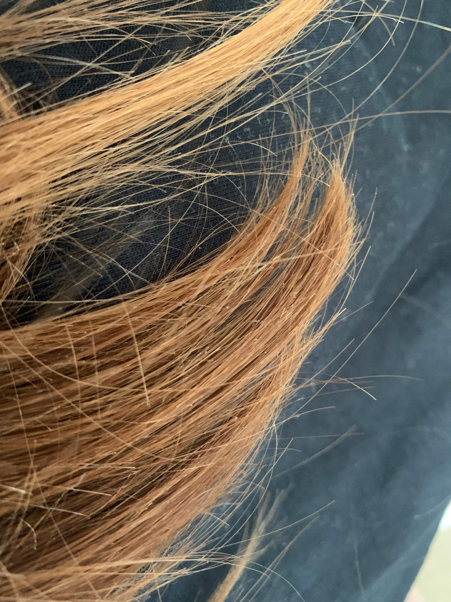 Wie Erkenne Ich Den Spliss? | Wie erkenne ich Spliss? – SCPAG