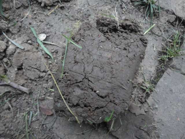 habe ich Tonerde oder Lehmerde im Garten? (Boden, gartenbau)