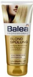 Shampoo - (Haare, Shampoo, Spliss)