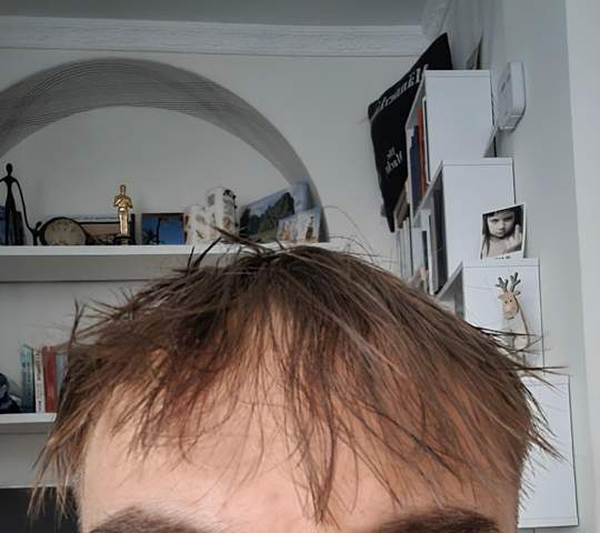 Bild zum Beitrag