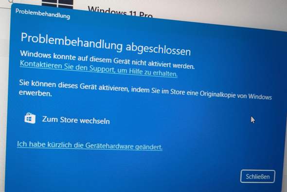 Bild zum Beitrag