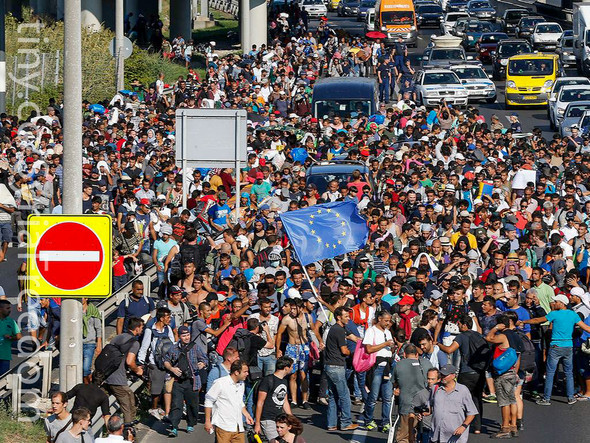 - (Politik, Deutschland, Islam)