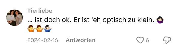 Bild zum Beitrag