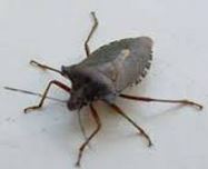 Ich kann nicht mehr beziehung Ich kann nicht mehr beziehung