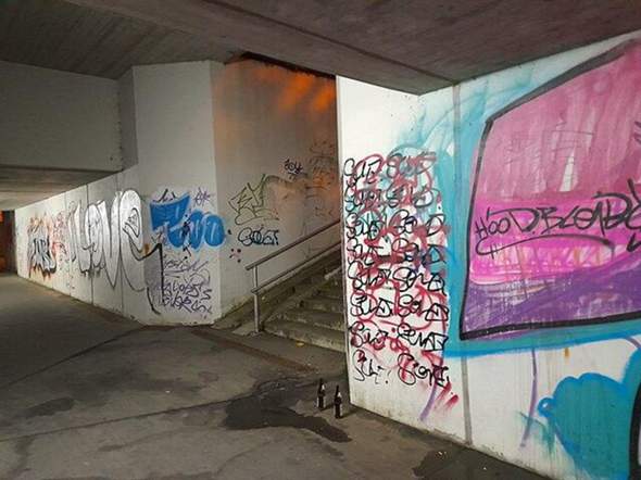 Bild zum Beitrag