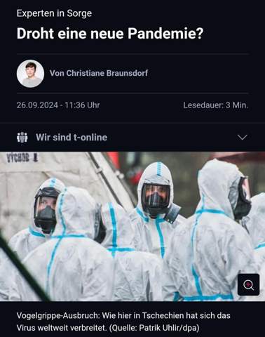 Bild zum Beitrag