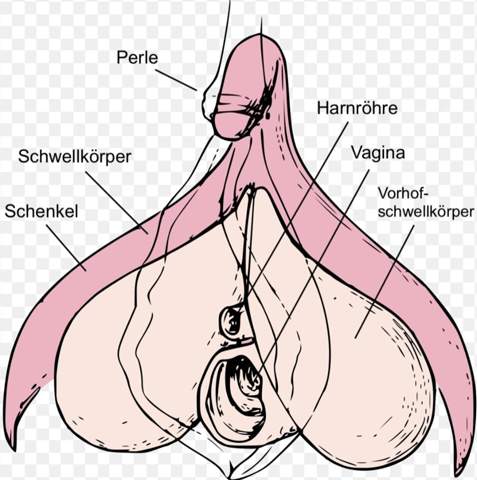 Bild zum Beitrag