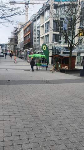 Bild zum Beitrag