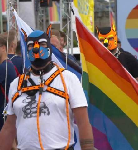 Bild zum Beitrag