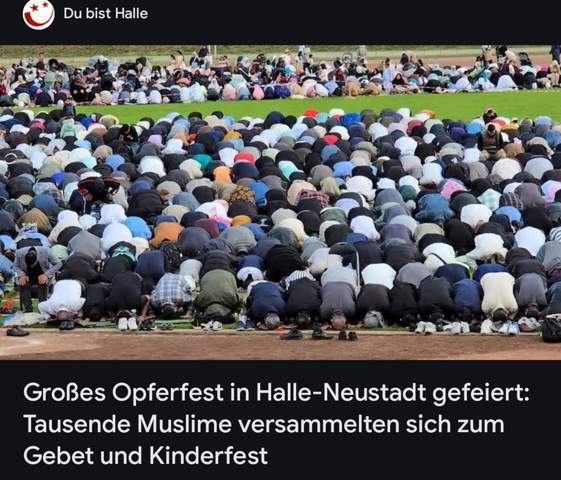 Bild zum Beitrag