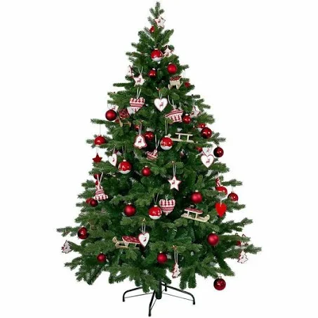 Habt ihr schon einen Weihnachtsbaum aufgestellt Mitte Dezember?