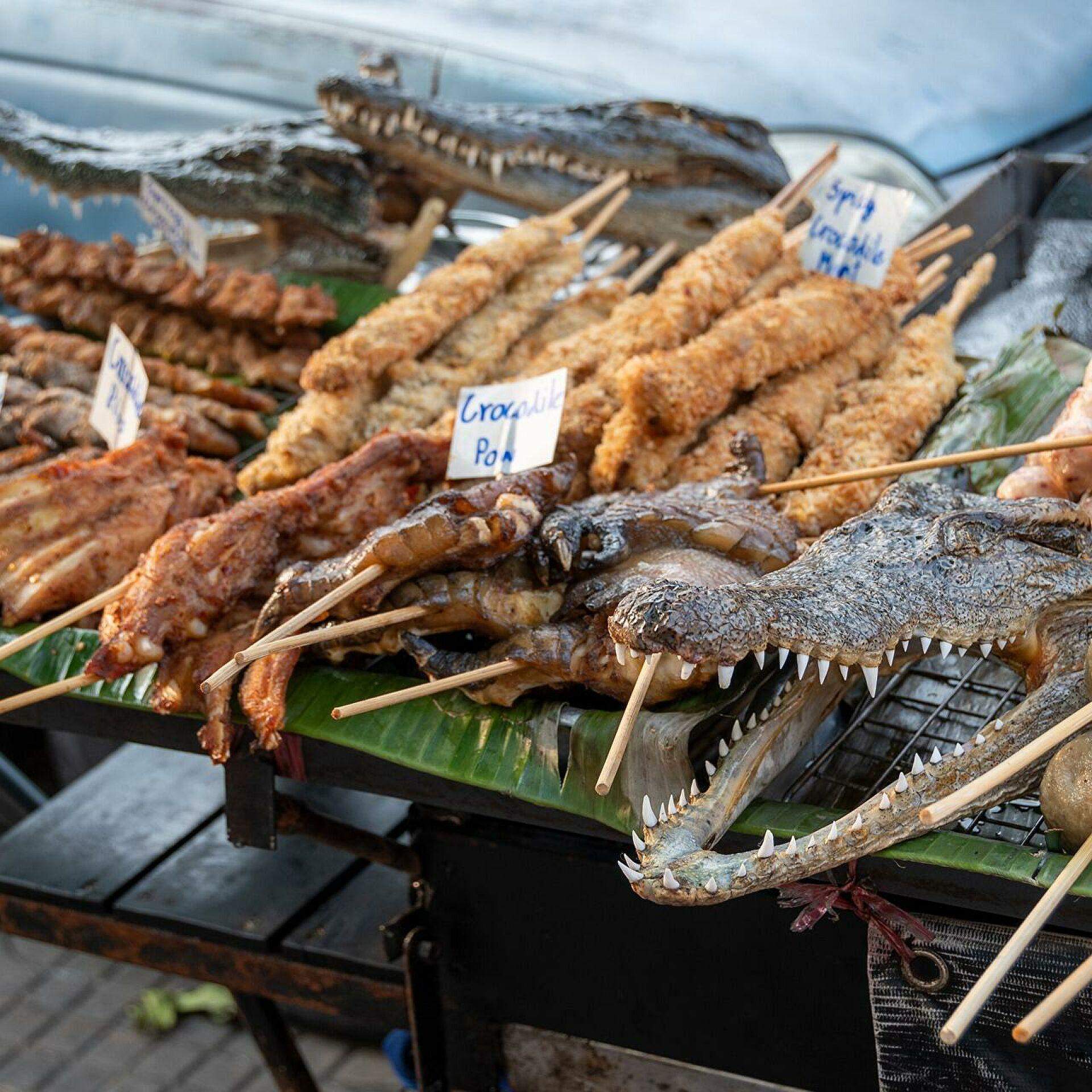 Habt ihr schon mal Krokodilfleisch gegessen? (Tiere, Fleisch, Krokodil)