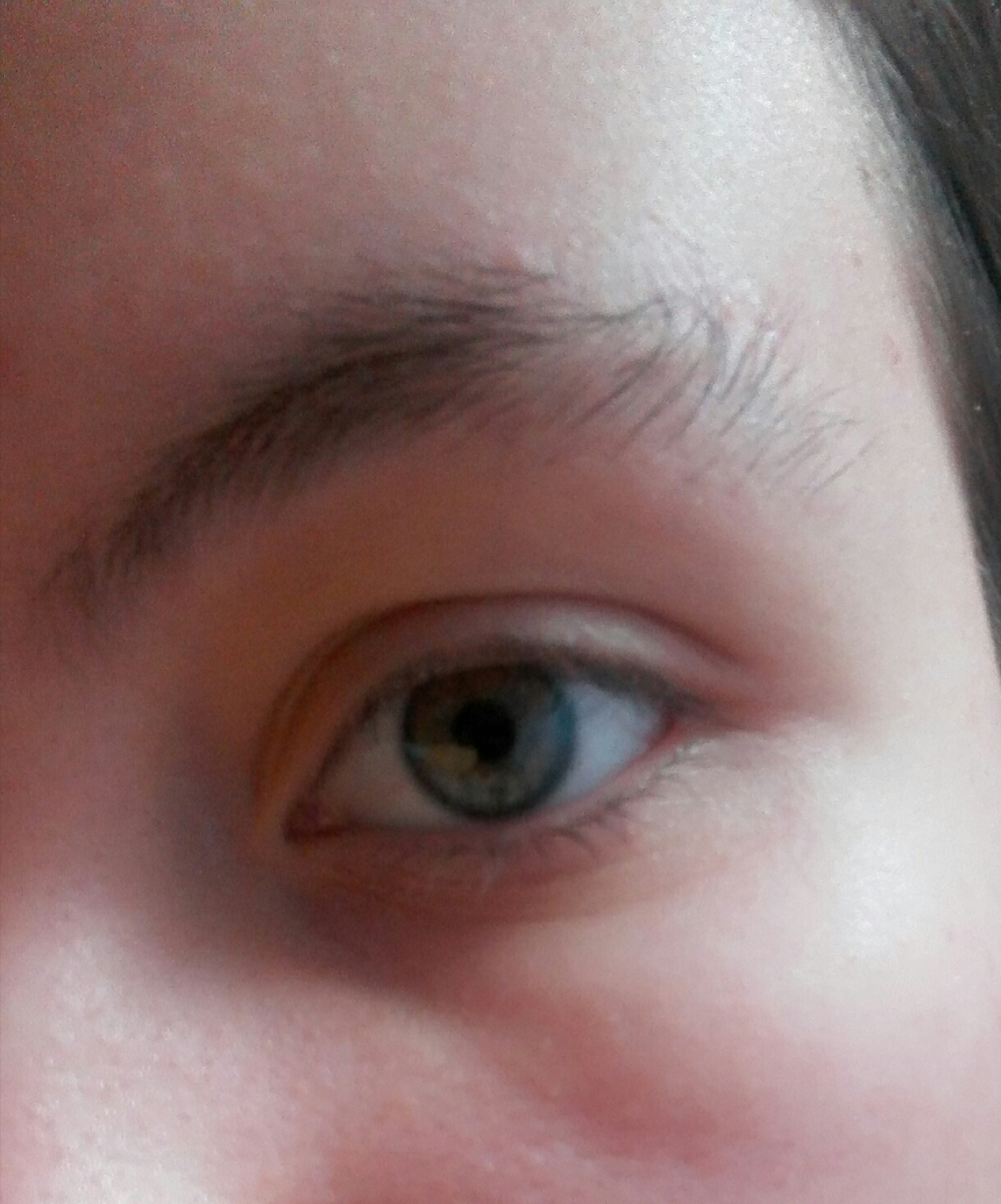 habt ihr solche augenbrauen schon mal