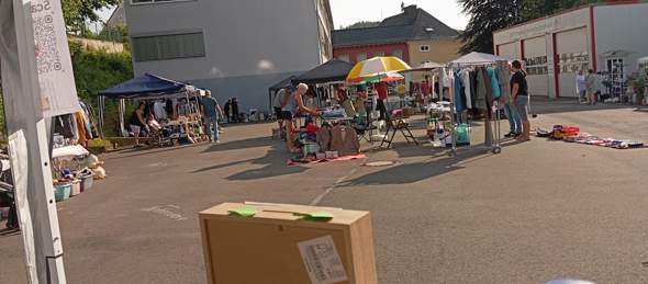 Bild zum Beitrag