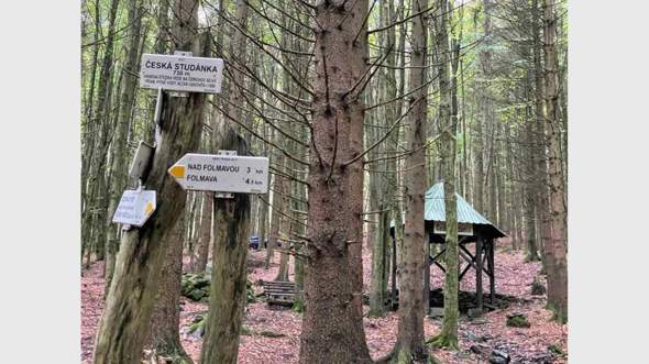 - (Deutschland, Kinder und Erziehung, Wald)