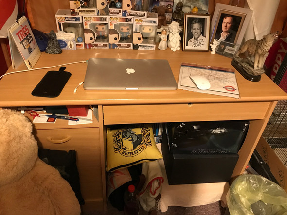 Mein Schreibtisch  - (Tiere, Gewicht, Möbel)