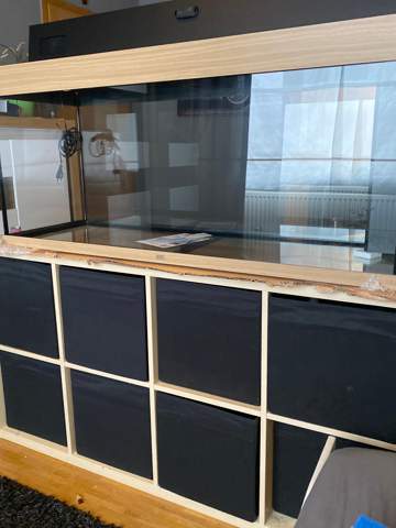 Hält mein Ikea Kallax Regal mein Aquarium aus? (Fische, Möbel, Aquaristik)