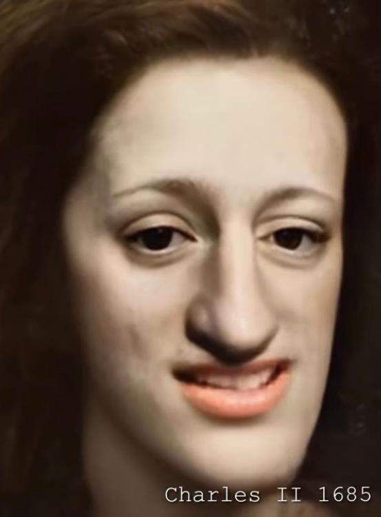 Habsburger Lippe Heute