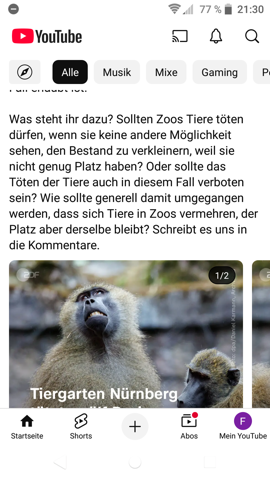 Bild zum Beitrag