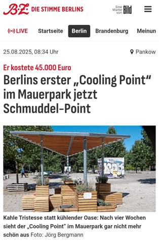 Bild zum Beitrag