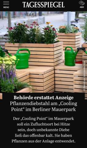 Bild zum Beitrag