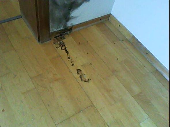 Brandflecken parkett versicherung Brandflecken parkett versicherung
