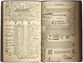 Halbblutprinz Buch Inhalt? (Harry Potter, DIY, Severus Snape)