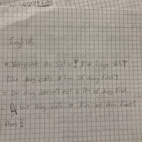 Kommt does oder do am Anfang bei der Frage - (deutsch, Englisch, grammar)