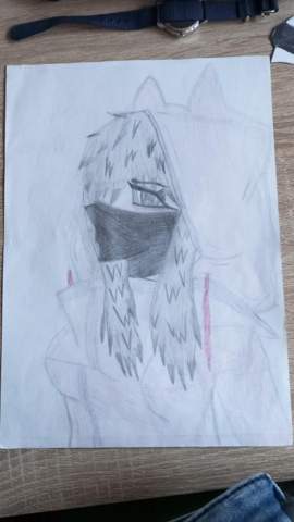 Bild zum Beitrag