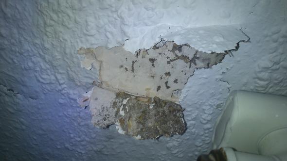 hallo ist das auf den bildern schimmel buro