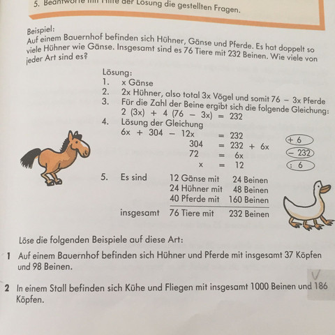 Das ist die Aufgabe - (Schule, Mathe, Mathematik)