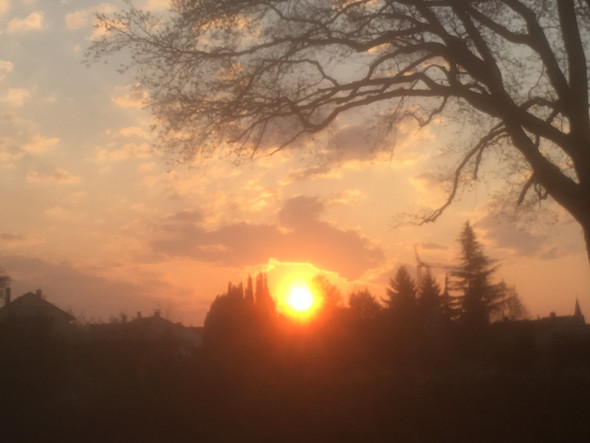 Hallo Leute Welches Whatsapp Profilbild Bilder Profil Pb