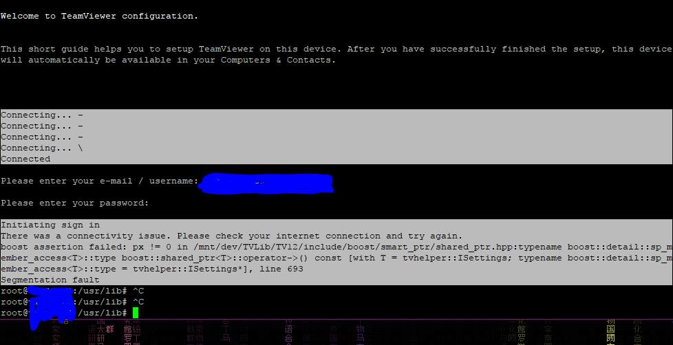 Hallo, Linux VServer Problem (Teamviewer)?