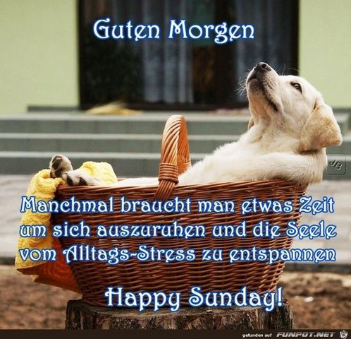 Hallo Und Ein Guten Morgen Heute Am Sonntag Erinnert Ihr Euch